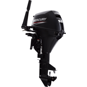 Mercury 9.9EH