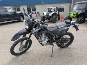 2024 Kawasaki KLX 300 (4)