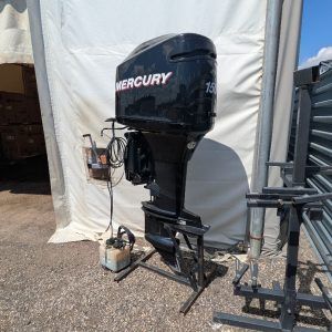 2006 Mercury 150XL OPT